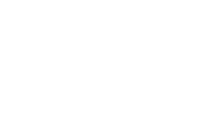 Amvizone Mini Logo